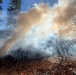 Shasta-Trinity Pile Burn