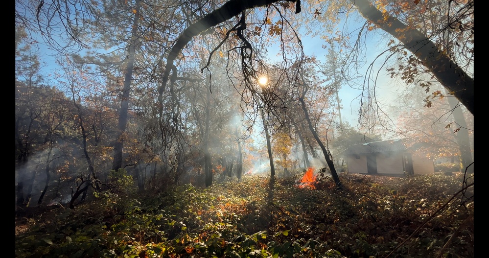 Shasta-Trinity Pile Burn