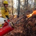 Shasta-Trinity Pile Burn