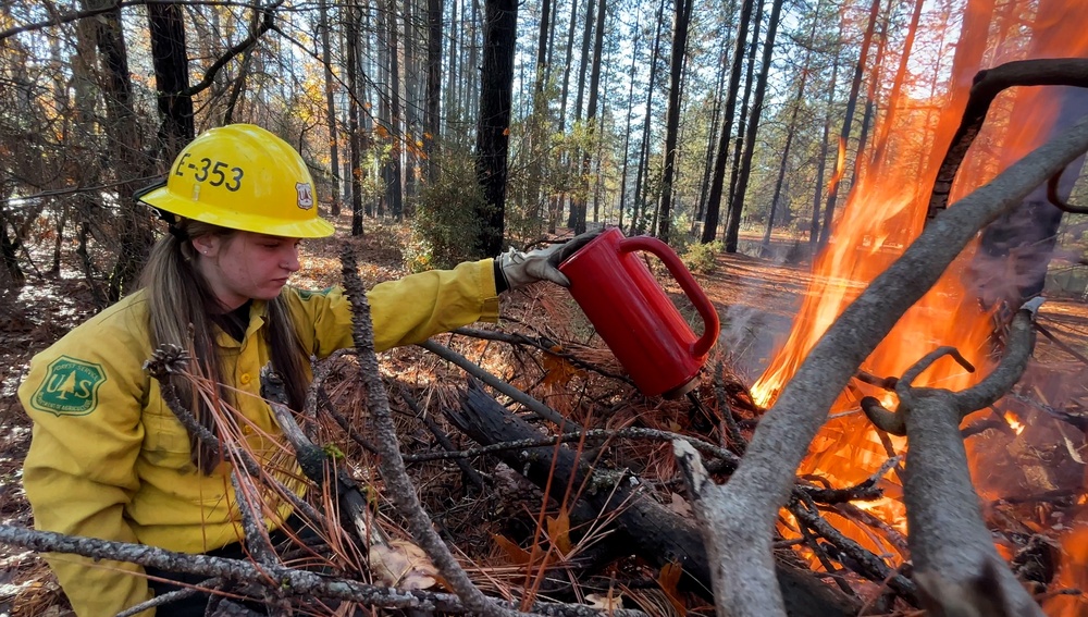 Shasta-Trinity Pile Burn