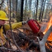 Shasta-Trinity Pile Burn