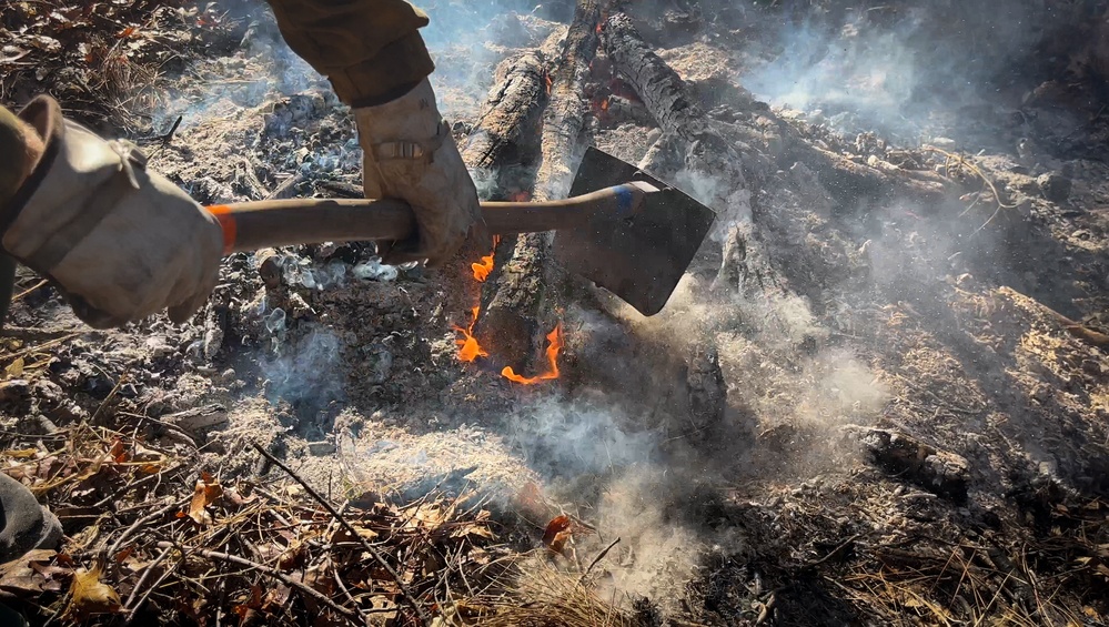 Shasta-Trinity Pile Burn