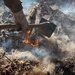 Shasta-Trinity Pile Burn