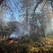 Shasta-Trinity Pile Burn