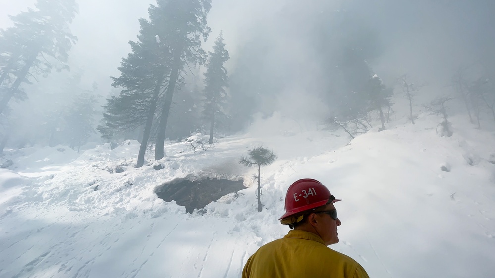 Shasta-Trinity Pile Burn Near Weaverville, CA