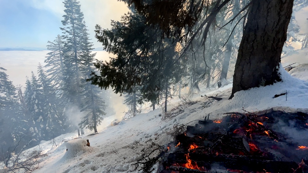 Shasta-Trinity Pile Burn Near Weaverville, CA