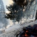Shasta-Trinity Pile Burn Near Weaverville, CA