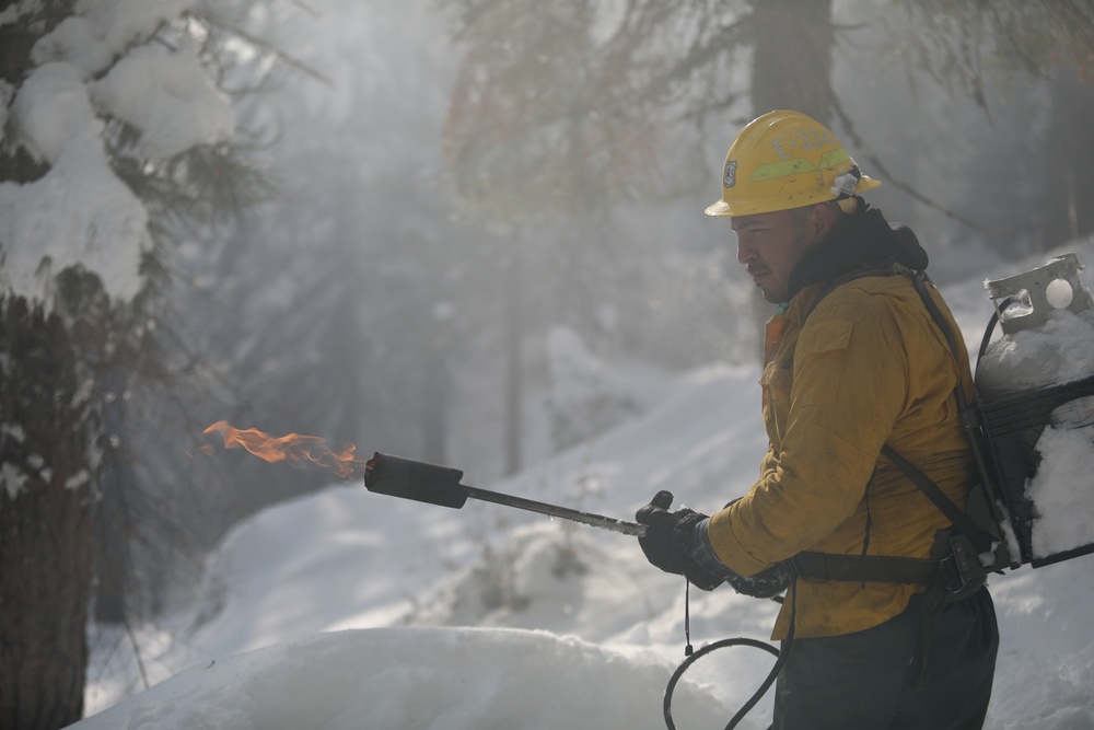 Shasta-Trinity Pile Burn Near Weaverville, CA
