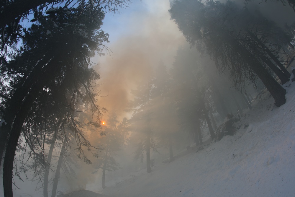 Shasta-Trinity Pile Burn Near Weaverville, CA