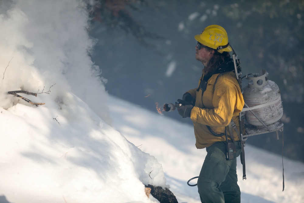 Shasta-Trinity Pile Burn Near Weaverville, CA