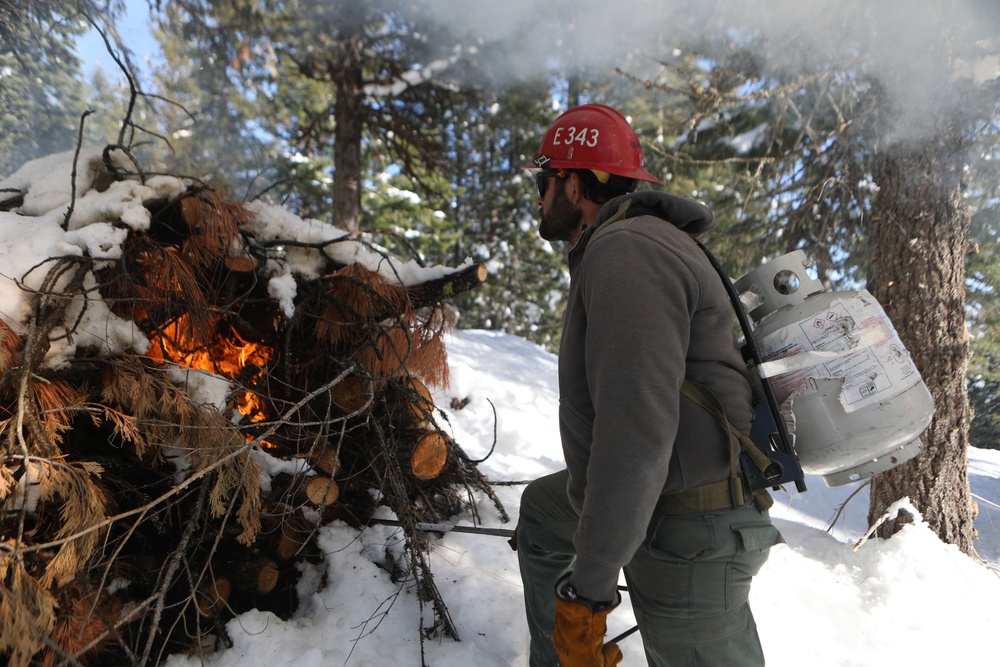 Shasta-Trinity Pile Burn Near Weaverville, CA