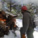 Shasta-Trinity Pile Burn Near Weaverville, CA