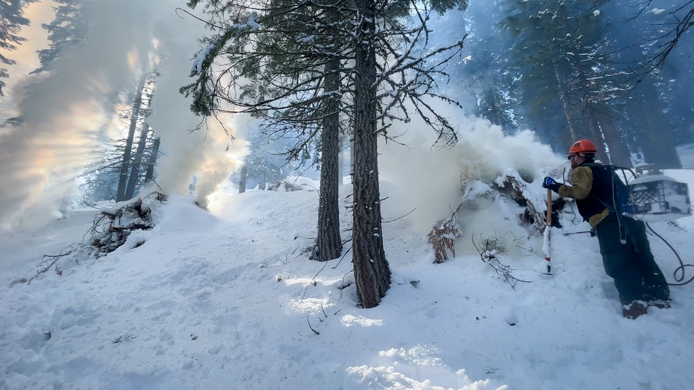 Shasta-Trinity Pile Burn Near Weaverville, CA