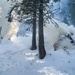 Shasta-Trinity Pile Burn Near Weaverville, CA