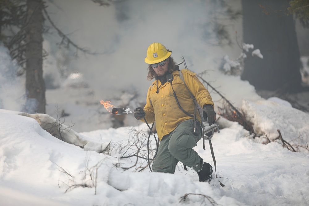 Shasta-Trinity Pile Burn Near Weaverville, CA