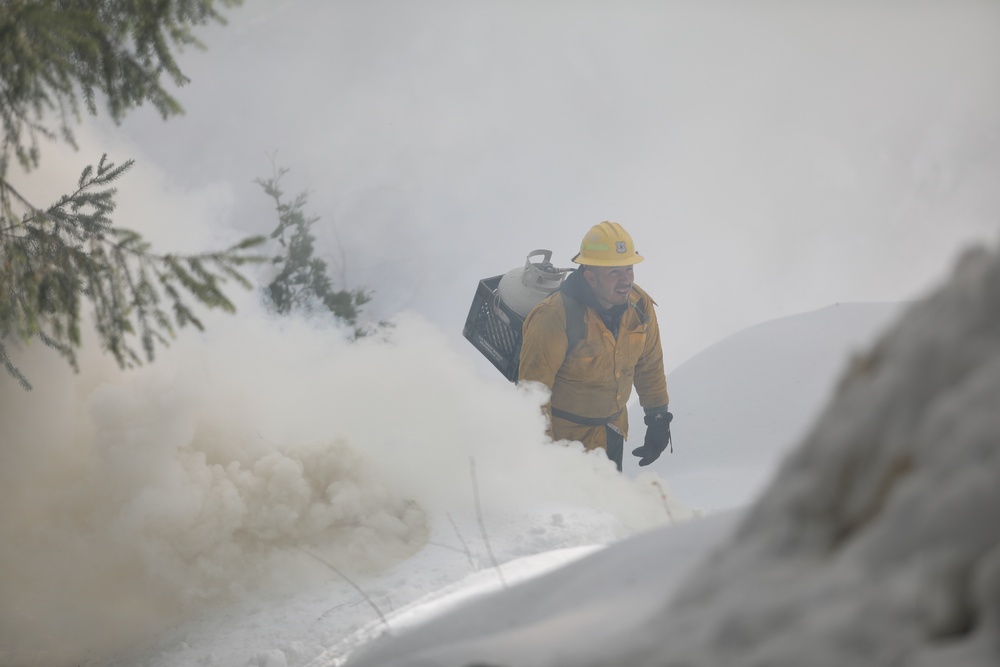 Shasta-Trinity Pile Burn Near Weaverville, CA
