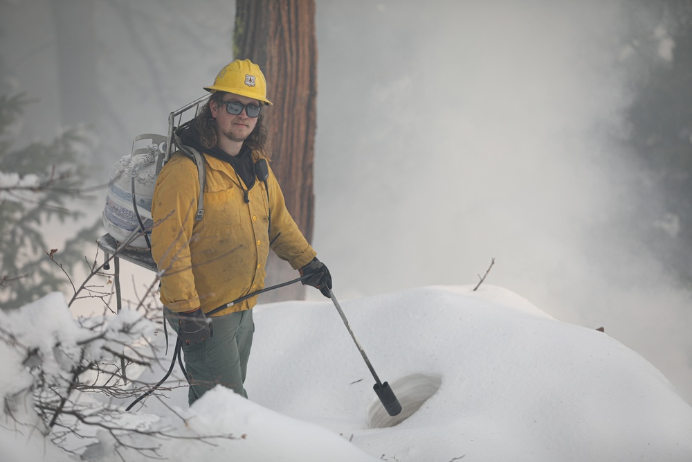 Shasta-Trinity Pile Burn Near Weaverville, CA