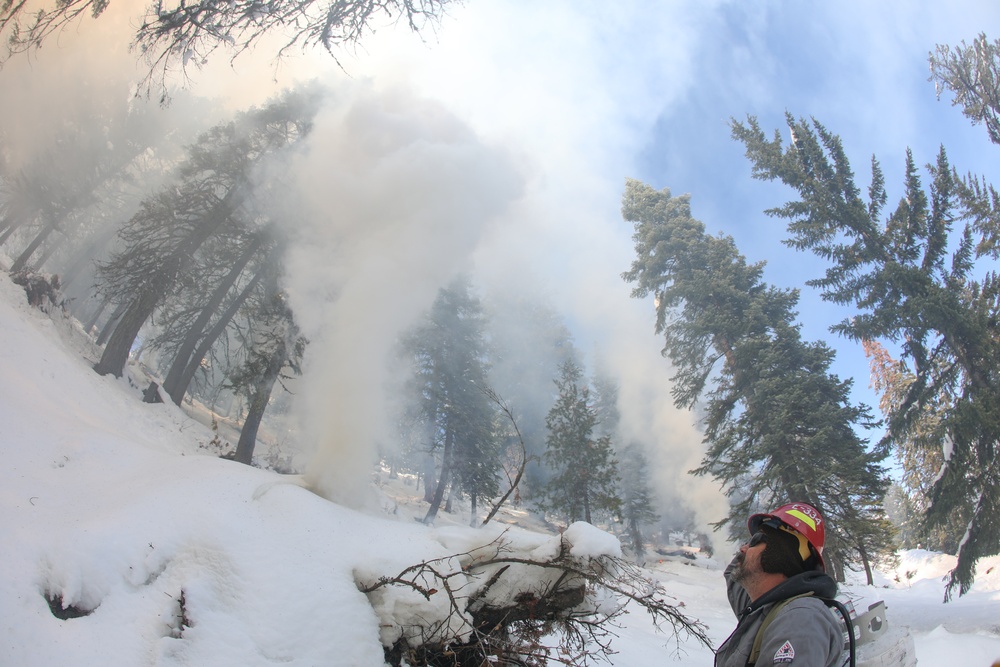 Shasta-Trinity Pile Burn Near Weaverville, CA
