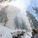 Shasta-Trinity Pile Burn Near Weaverville, CA