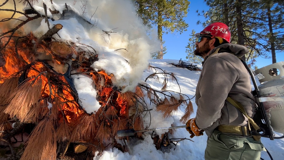 Shasta-Trinity Pile Burn Near Weaverville, CA