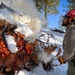 Shasta-Trinity Pile Burn Near Weaverville, CA