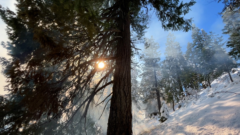 Shasta-Trinity Pile Burn Near Weaverville, CA