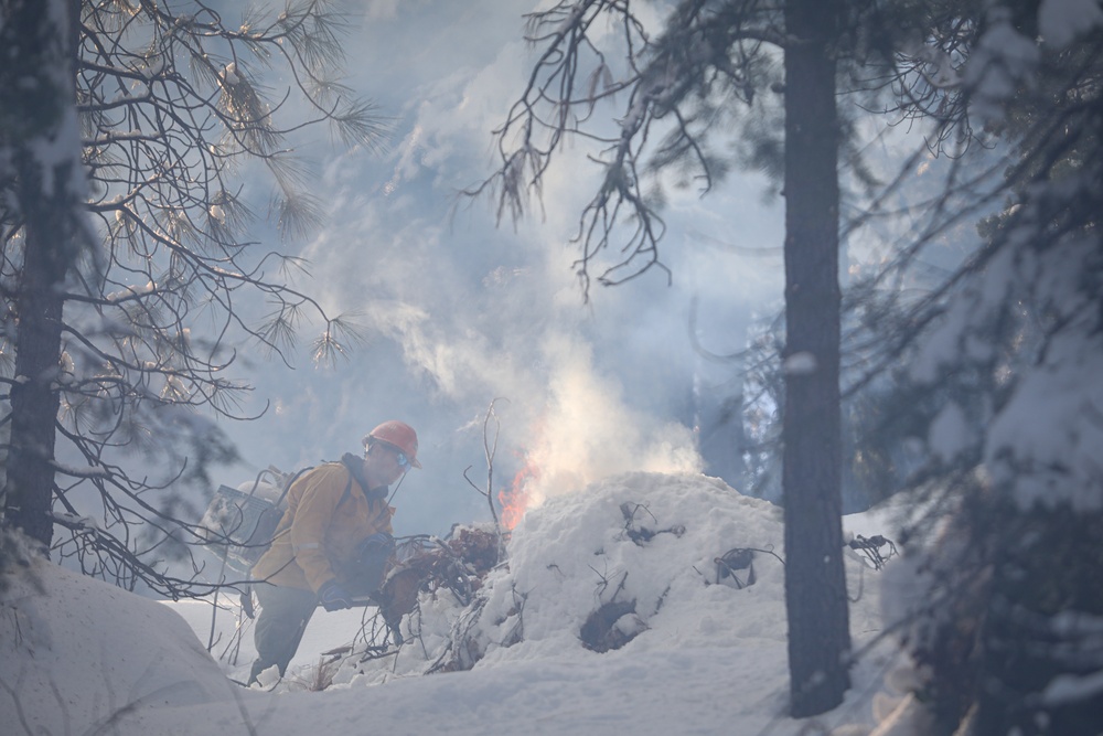 Shasta-Trinity Pile Burn Near Weaverville, CA
