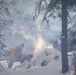 Shasta-Trinity Pile Burn Near Weaverville, CA