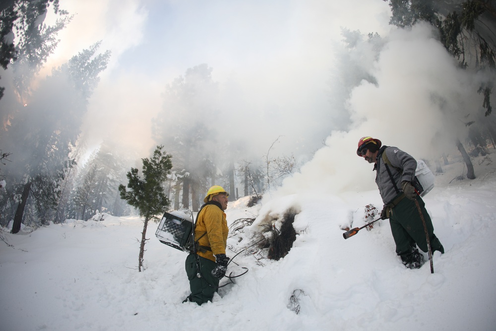 Shasta-Trinity Pile Burn Near Weaverville, CA