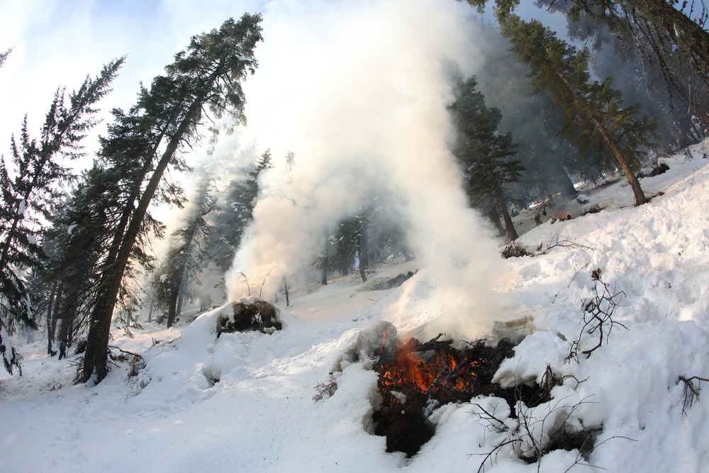 Shasta-Trinity Pile Burn Near Weaverville, CA