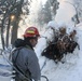 Shasta-Trinity Pile Burn Near Weaverville, CA