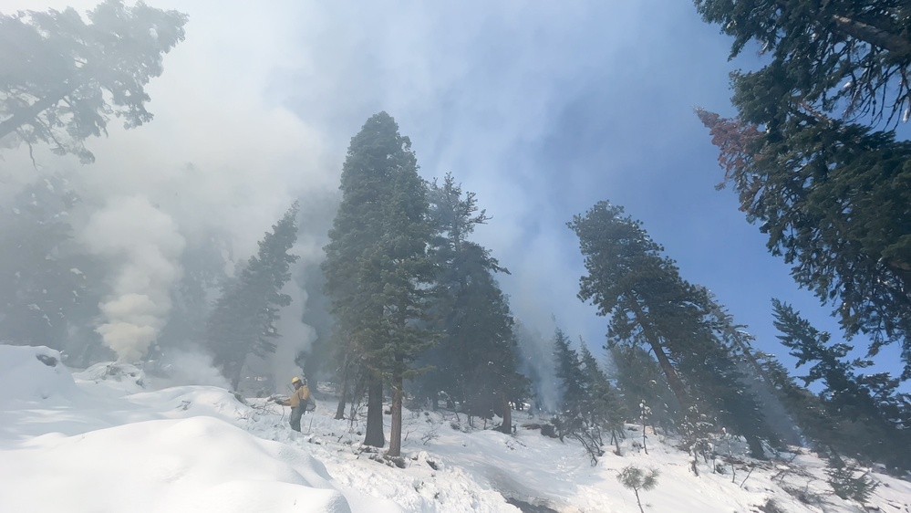 Shasta-Trinity Pile Burn Near Weaverville, CA