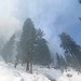 Shasta-Trinity Pile Burn Near Weaverville, CA