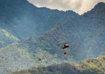 25th CAB Conducts Bambi Bucket Operations