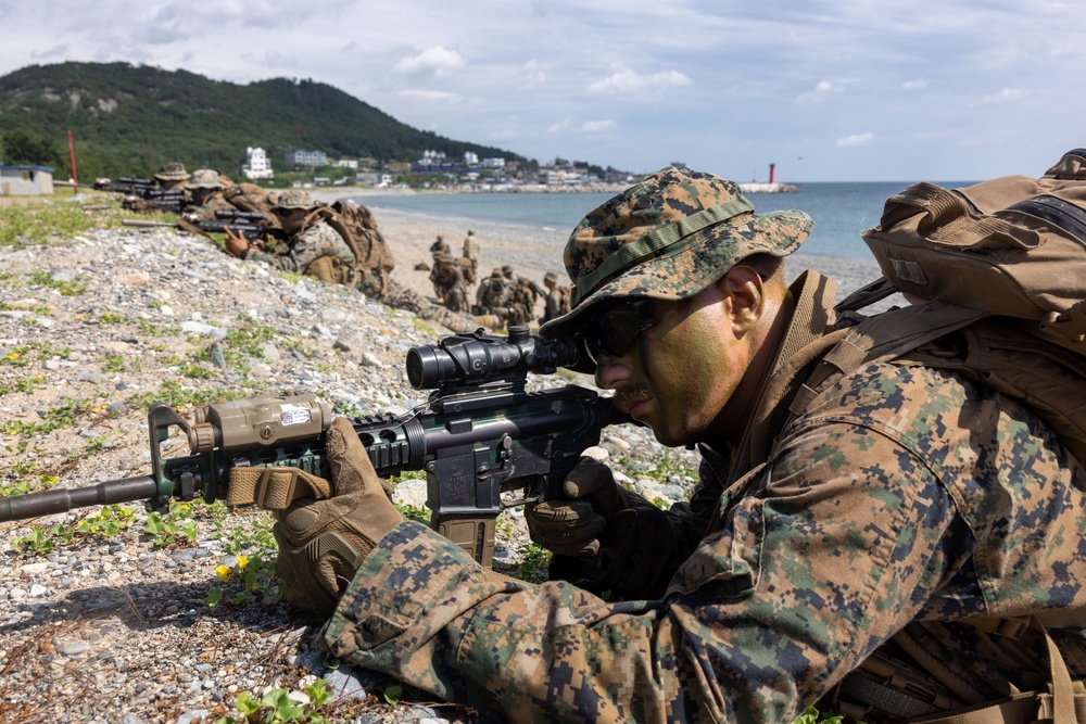 DVIDS - Images - ROK Marines Conduct Simulated Amphibious Assault ...