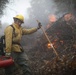Cleveland National Forest: Prescribed Burn