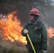 Cleveland National Forest: Prescribed Burn