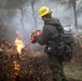 Cleveland National Forest: Prescribed Burn