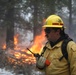 Cleveland National Forest: Prescribed Burn