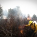 Cleveland National Forest: Prescribed Burn