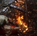 Cleveland National Forest: Prescribed Burn