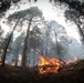 Cleveland National Forest: Prescribed Burn