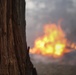 Cleveland National Forest: Prescribed Burn
