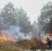 Cleveland National Forest: Prescribed Burn