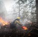 Cleveland National Forest: Prescribed Burn