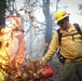 Cleveland National Forest: Prescribed Burn