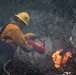 Cleveland National Forest: Prescribed Burn