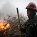 Cleveland National Forest: Prescribed Burn