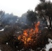 Cleveland National Forest: Prescribed Burn