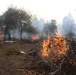 Cleveland National Forest: Prescribed Burn